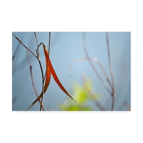 Ulpi Gonzalez 'Red and Green by the River' Canvas Art, 30x47, Trademark Fine Art, Mfr#: IC00781-C3047GG